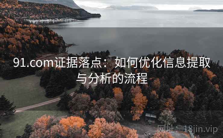91.com证据落点:如何优化信息提取与分析的流程 91.com证据落点:如何优化信息提取与分析的流程
