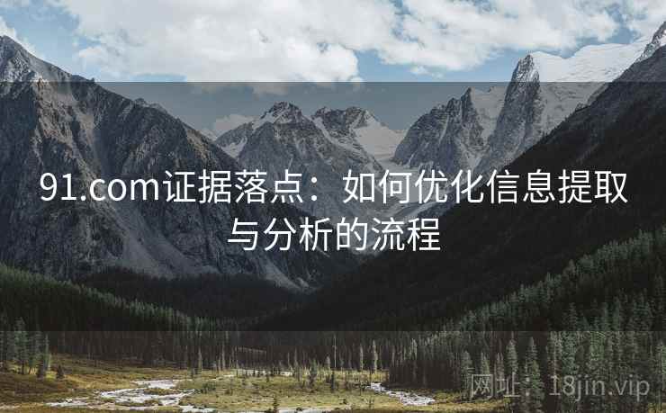 91.com证据落点:如何优化信息提取与分析的流程 91.com证据落点:如何优化信息提取与分析的流程