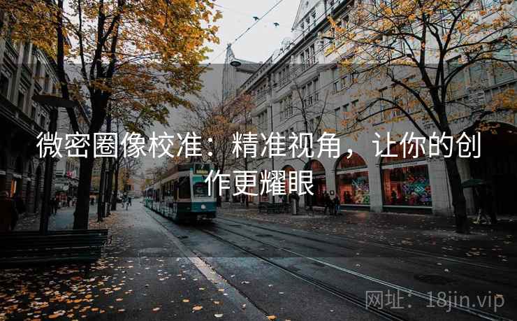 微密圈像校准：精准视角，让你的创作更耀眼