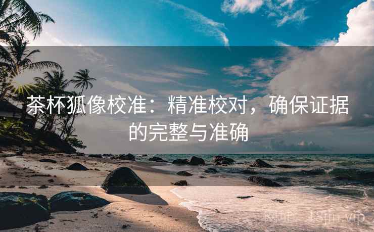 茶杯狐像校准：精准校对，确保证据的完整与准确