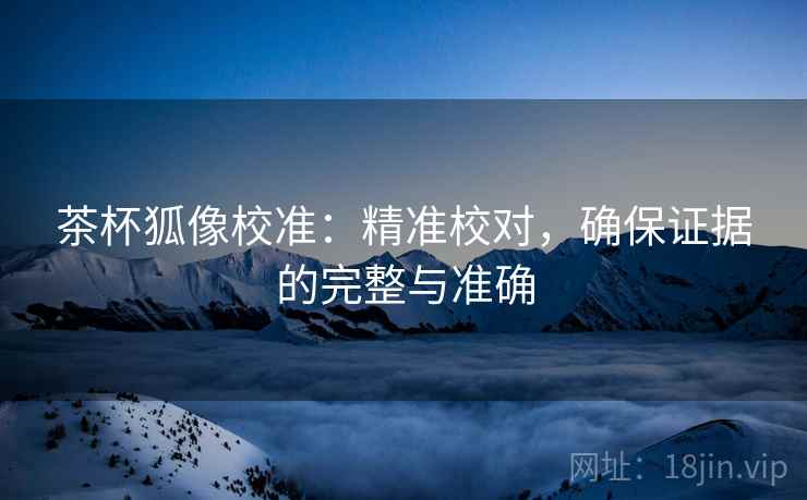 茶杯狐像校准：精准校对，确保证据的完整与准确
